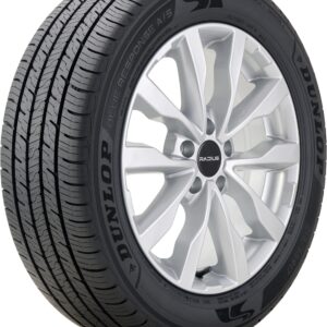 Dunlop Blue Response A/S 195/65R15 91T Standard Touring All-Season Tire 10024576